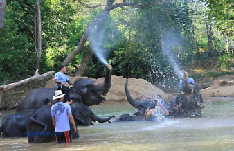 kenyir elephant village (16)